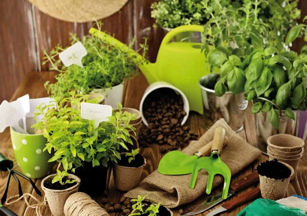 Servizio mensile di giardinaggio: quanto può incidere sul budget famigliare?