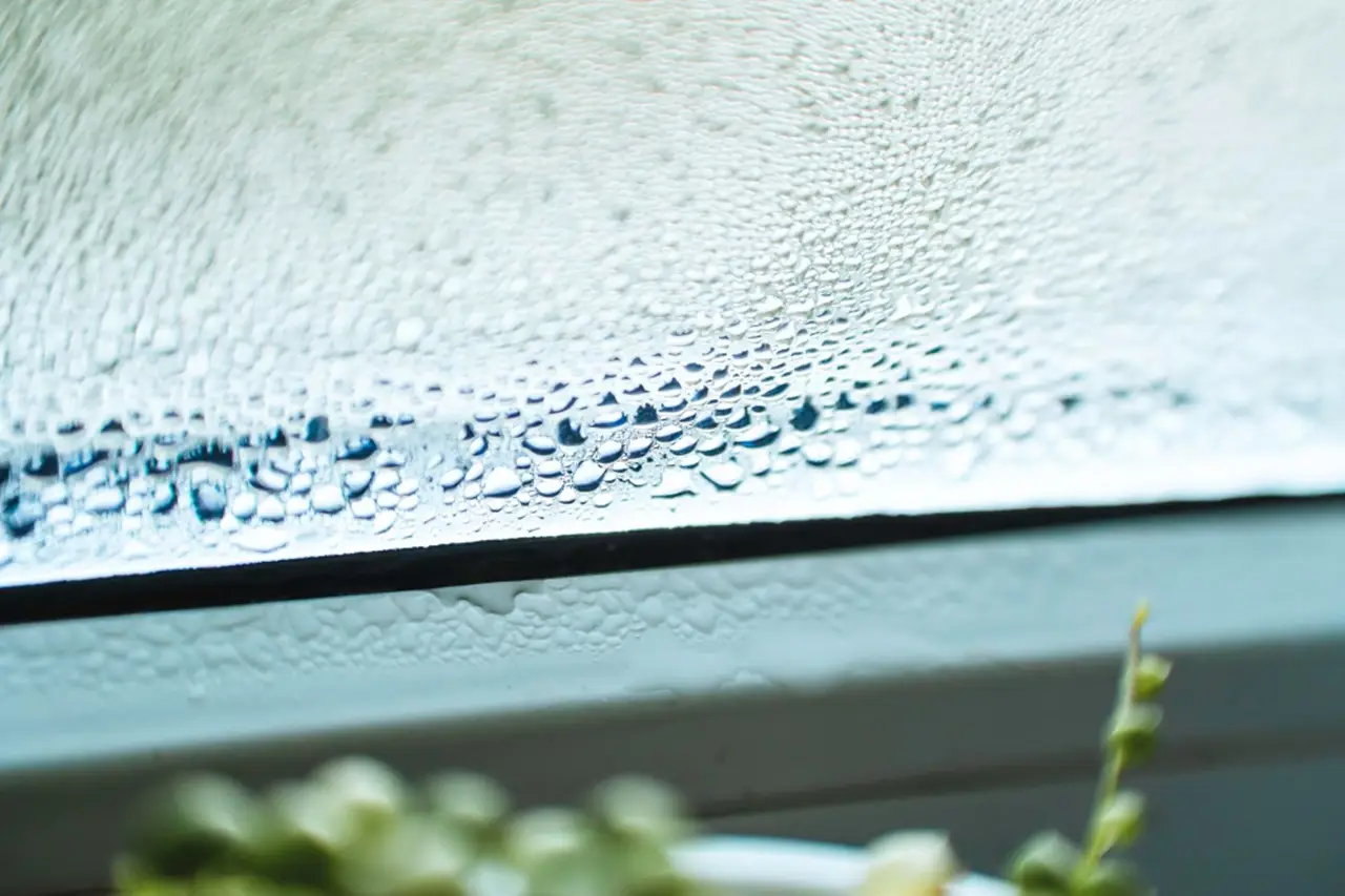 Ecco il livello di umidità ideale in casa: controlla se al sicuro