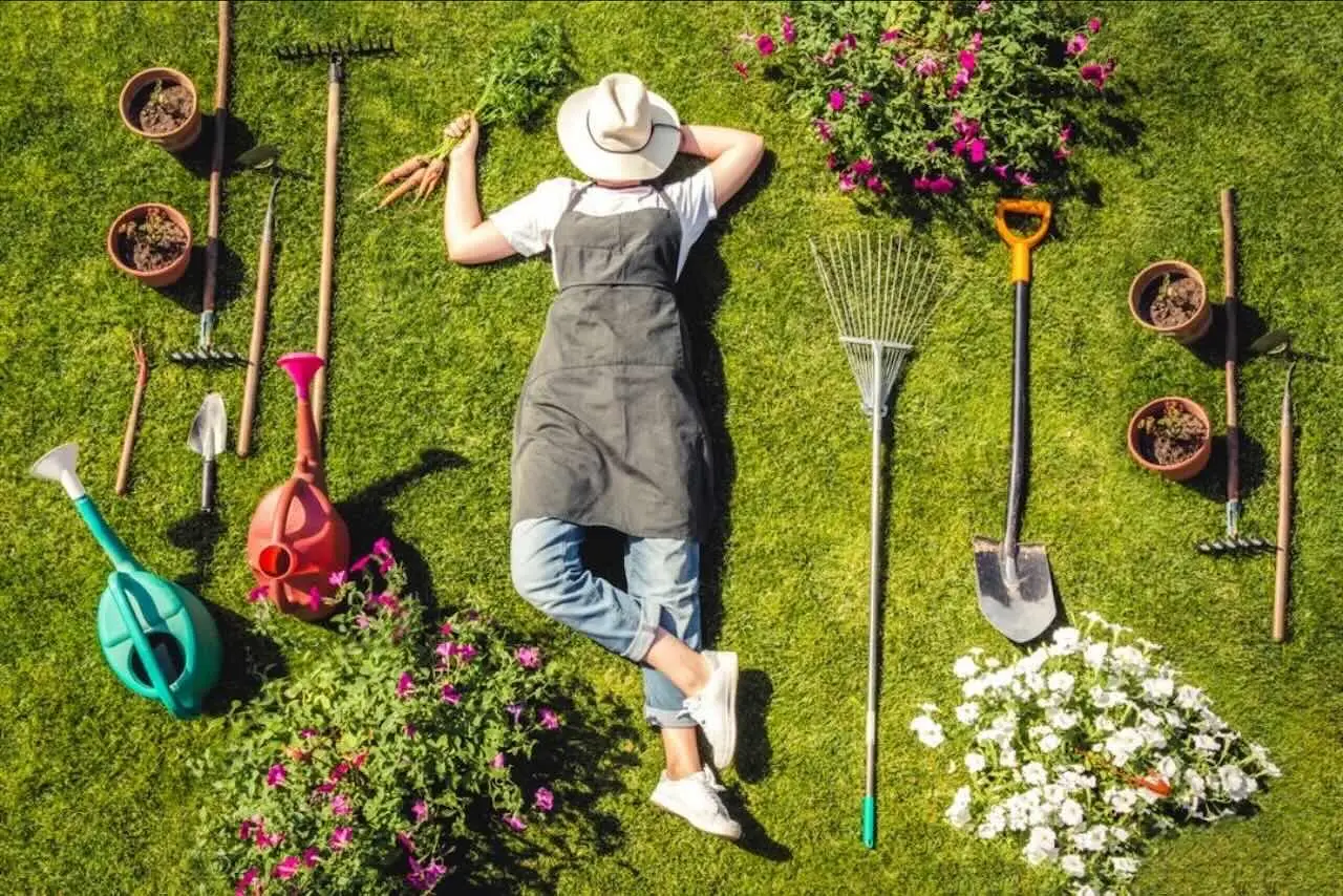 Rullo da giardino: lo strumento poco usato che rende il tuo prato perfetto e elimina i buchi